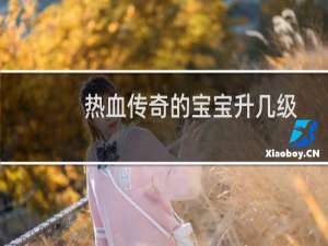 热血传奇的宝宝升几级