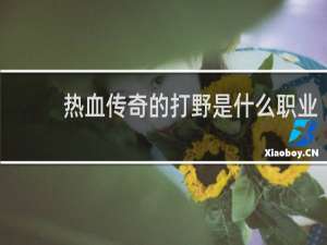热血传奇的打野是什么职业