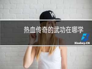 热血传奇的武功在哪学