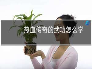 热血传奇的武功怎么学