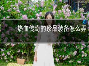 热血传奇的珍品装备怎么弄