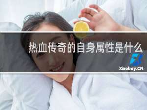 热血传奇的自身属性是什么