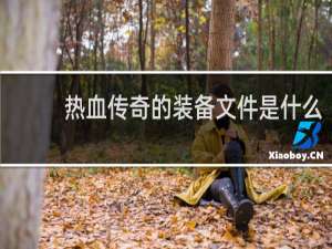 热血传奇的装备文件是什么