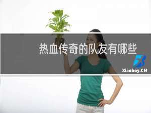 热血传奇的队友有哪些