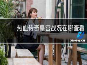 热血传奇皇宫战况在哪查看