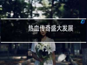 热血传奇盛大发展