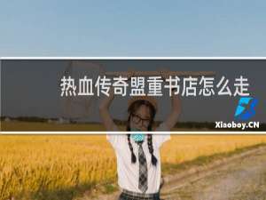 热血传奇盟重书店怎么走