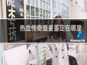 热血传奇盟重鉴定在哪里