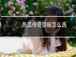 热血传奇目标怎么选