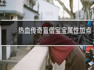 热血传奇盲僧宝宝属性加点