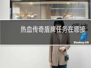 热血传奇盾牌任务在哪接