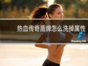 热血传奇盾牌怎么洗掉属性