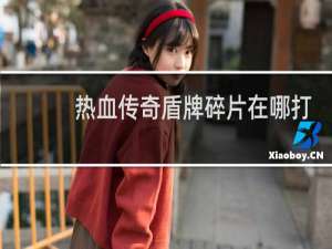 热血传奇盾牌碎片在哪打