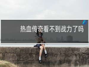 热血传奇看不到战力了吗