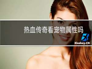热血传奇看宠物属性吗