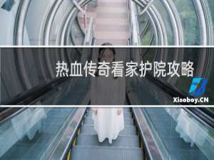 热血传奇看家护院攻略