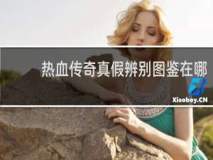 热血传奇真假辨别图鉴在哪