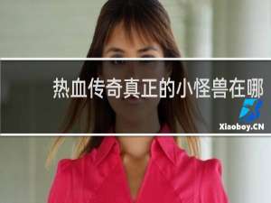 热血传奇真正的小怪兽在哪