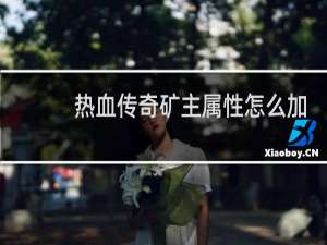 热血传奇矿主属性怎么加