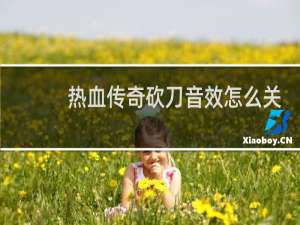 热血传奇砍刀音效怎么关