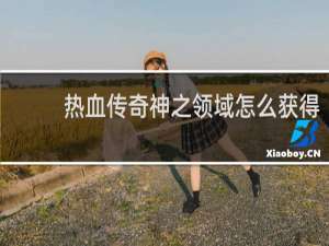 热血传奇神之领域怎么获得