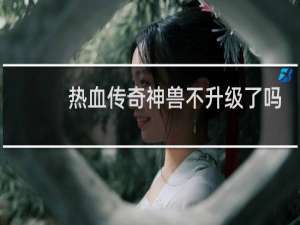 热血传奇神兽不升级了吗