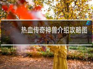 热血传奇神兽介绍攻略图