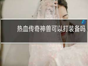 热血传奇神兽可以打装备吗