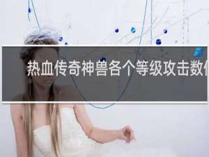 热血传奇神兽各个等级攻击数值