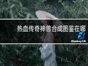 热血传奇神兽合成图鉴在哪