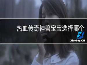 热血传奇神兽宝宝选择哪个