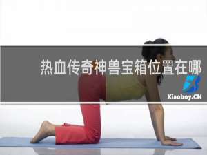 热血传奇神兽宝箱位置在哪