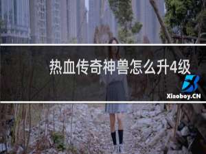 热血传奇神兽怎么升4级