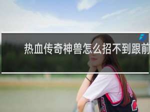 热血传奇神兽怎么招不到跟前