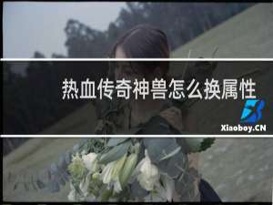 热血传奇神兽怎么换属性