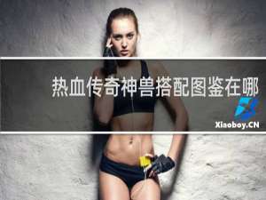 热血传奇神兽搭配图鉴在哪