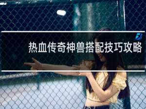 热血传奇神兽搭配技巧攻略