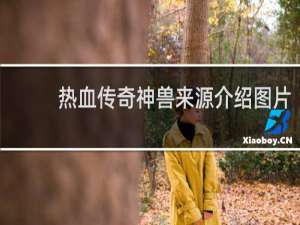 热血传奇神兽来源介绍图片