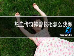 热血传奇神兽长相怎么获得