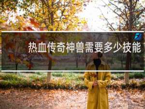热血传奇神兽需要多少技能