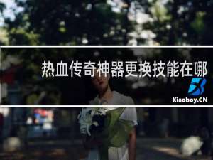 热血传奇神器更换技能在哪