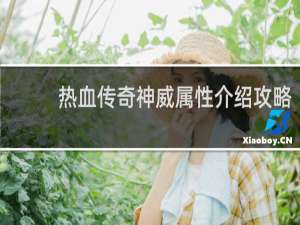 热血传奇神威属性介绍攻略