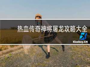 热血传奇神将屠龙攻略大全