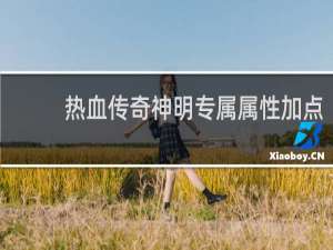 热血传奇神明专属属性加点