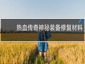 热血传奇神秘装备修复材料