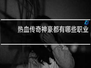 热血传奇神豪都有哪些职业