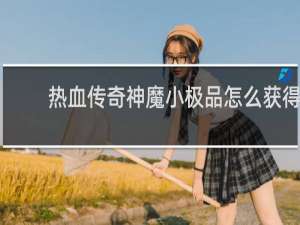 热血传奇神魔小极品怎么获得