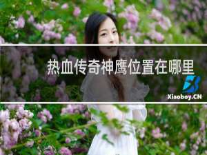热血传奇神鹰位置在哪里