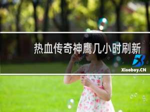 热血传奇神鹰几小时刷新