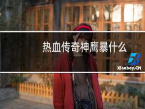 热血传奇神鹰暴什么